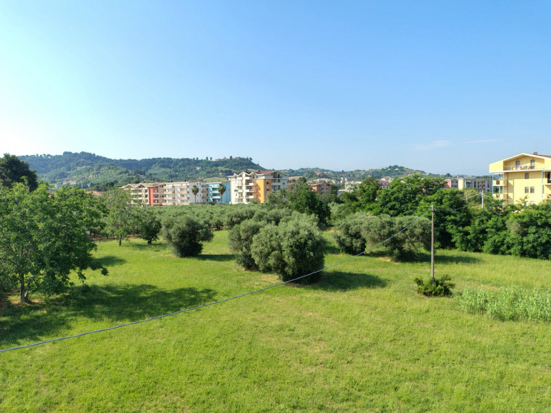 immagine annuncio 2 di 6