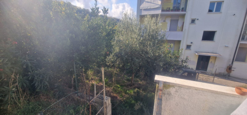 immagine annuncio 3 di 8