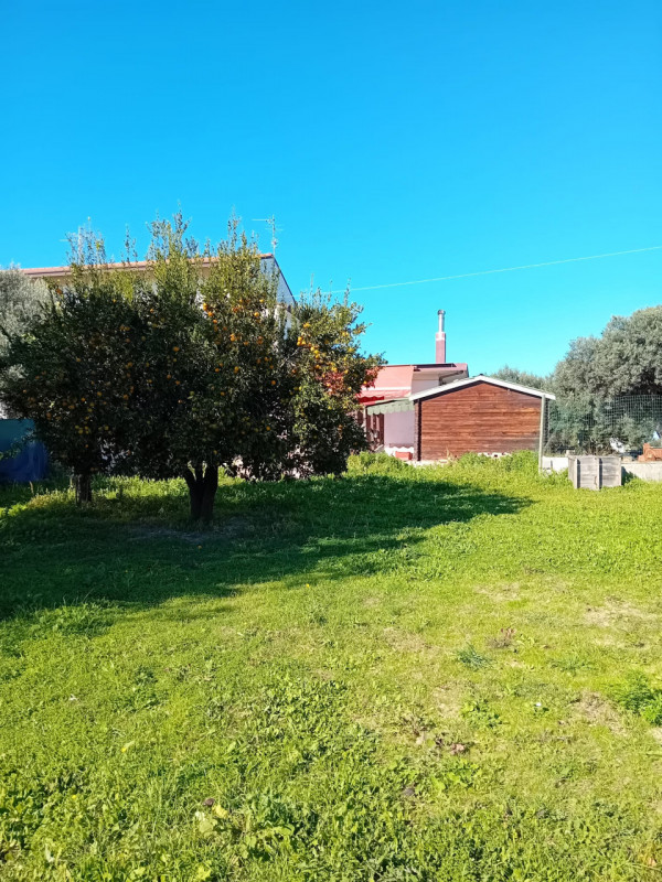 immagine annuncio 6 di 10