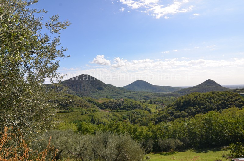 immagine annuncio 5 di 7