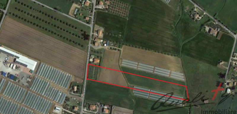 immagine annuncio 4 di 6