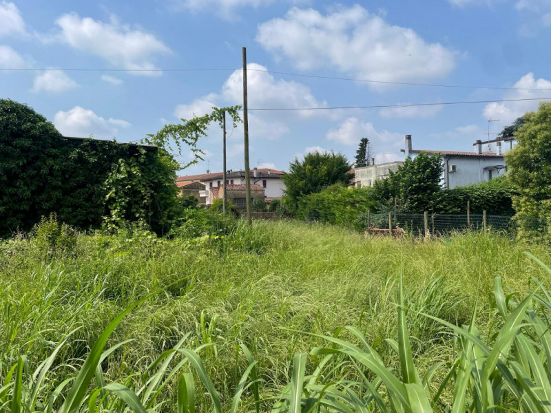 immagine annuncio 3 di 7