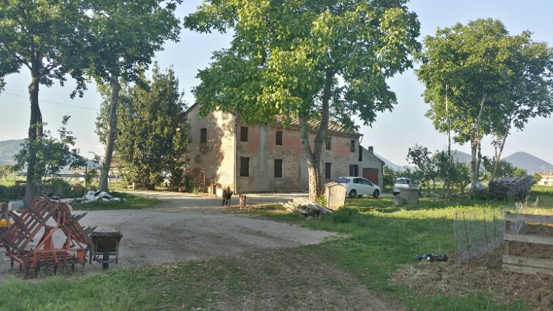 immagine annuncio 1 di 9