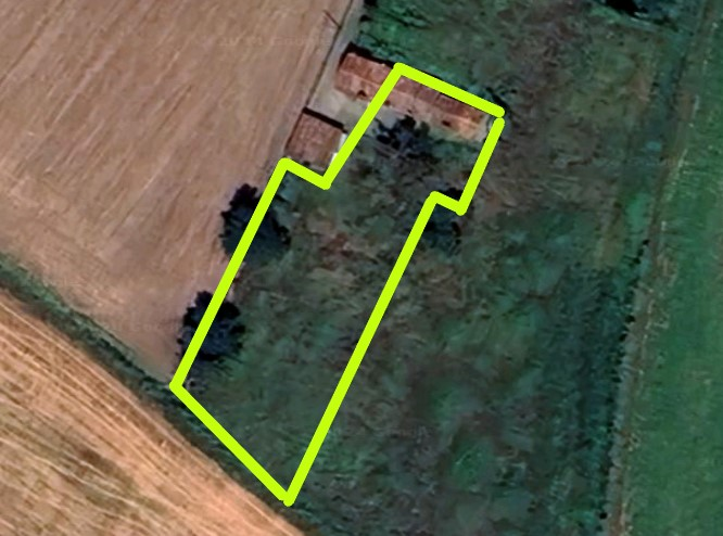 immagine annuncio 3 di 7