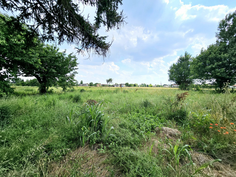 immagine annuncio 1 di 7