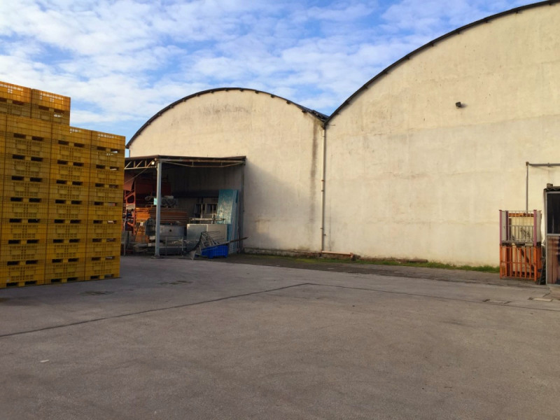 immagine annuncio 5 di 10