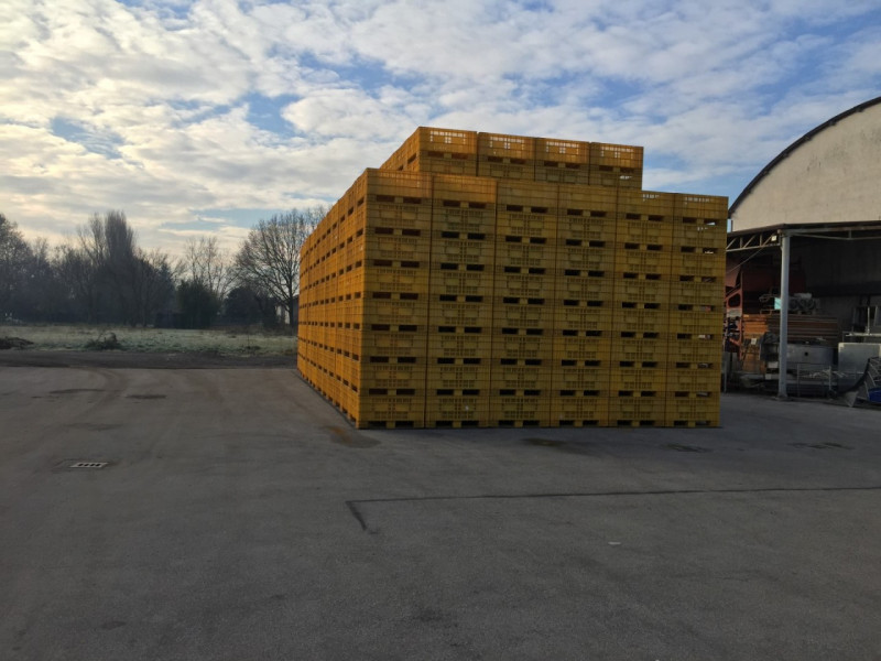 immagine annuncio 9 di 10