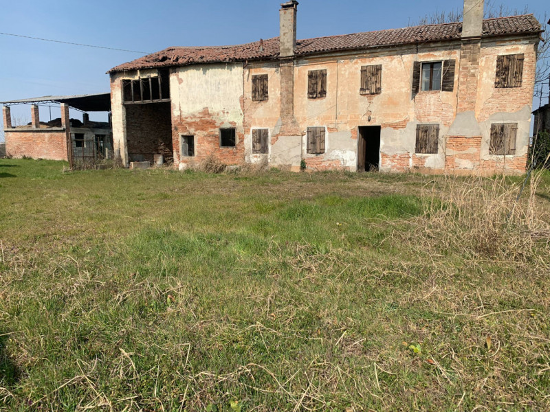 immagine annuncio 2 di 4