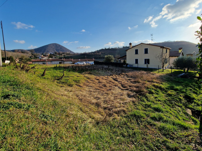 immagine annuncio 1 di 6