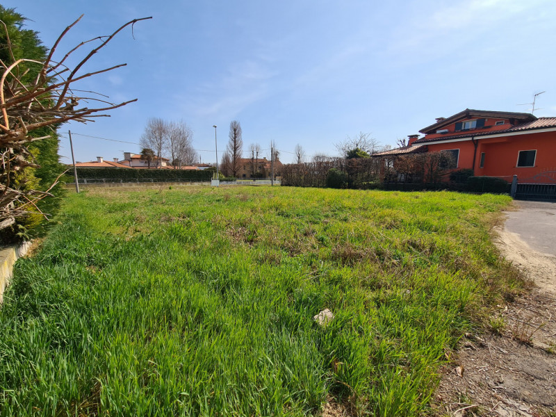 immagine annuncio 2 di 6