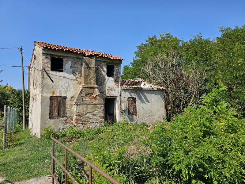 immagine annuncio 7 di 8