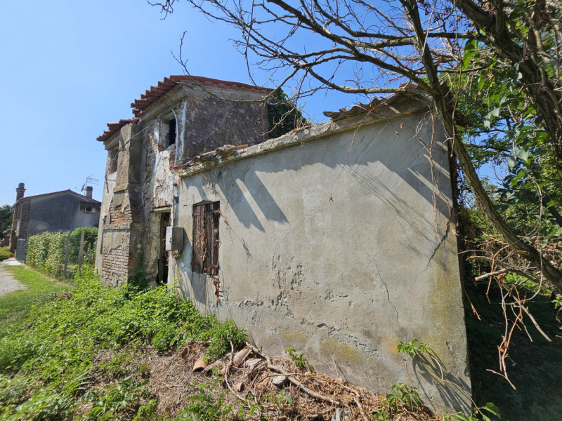 immagine annuncio 1 di 8