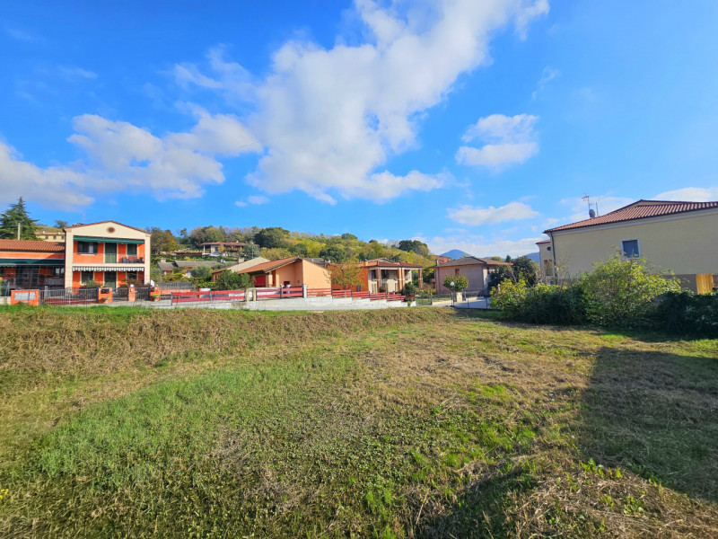 immagine annuncio 5 di 6