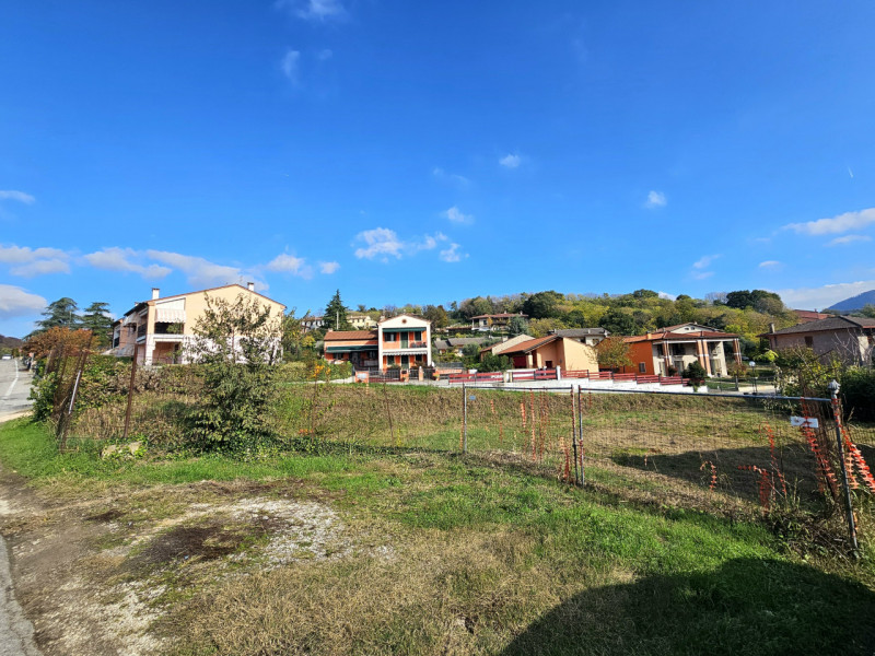 immagine annuncio 3 di 6