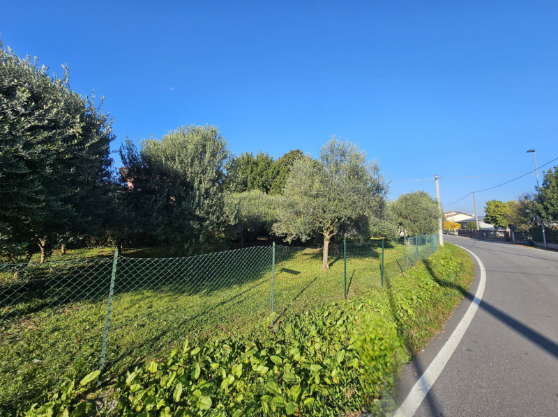 immagine annuncio 2 di 9