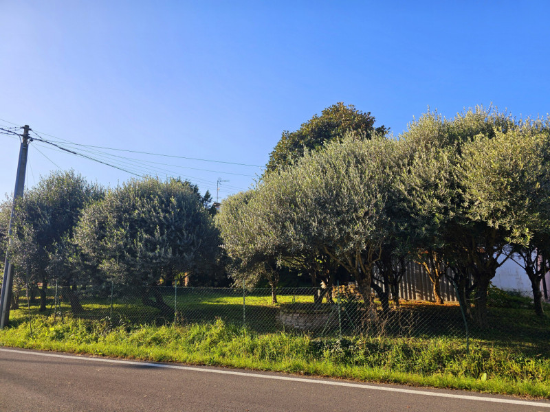 immagine annuncio 5 di 9