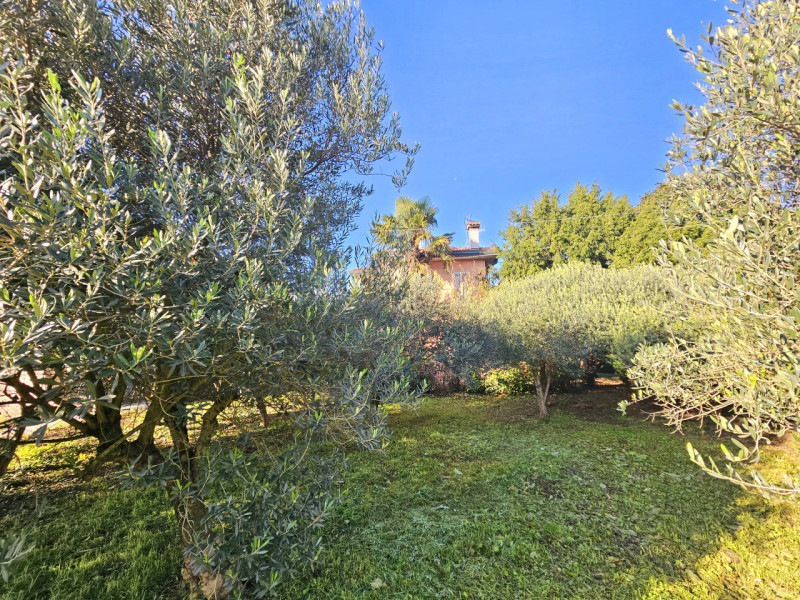 immagine annuncio 8 di 9