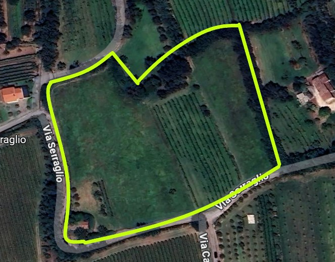 immagine annuncio 1 di 10