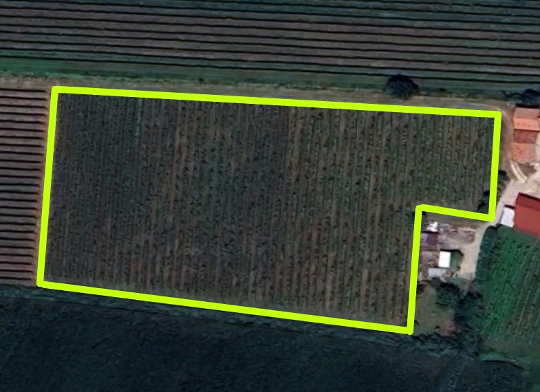 immagine annuncio 1 di 4