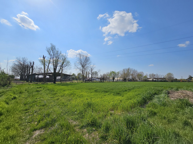 immagine annuncio 4 di 7