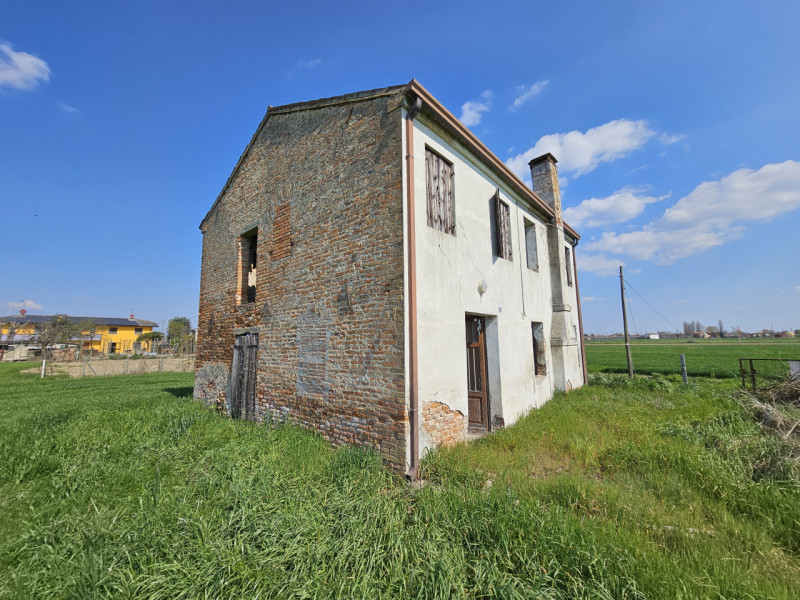 immagine annuncio 3 di 7