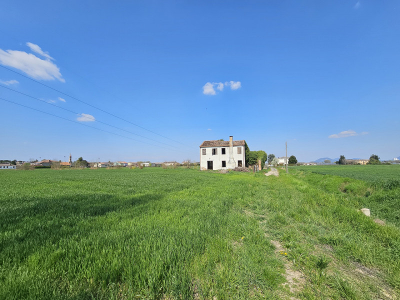 immagine annuncio 2 di 7