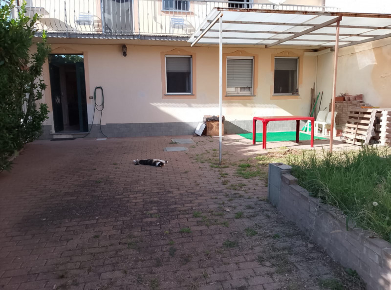 immagine annuncio 2 di 10