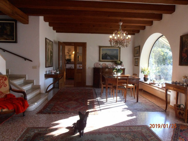 immagine annuncio 5 di 7