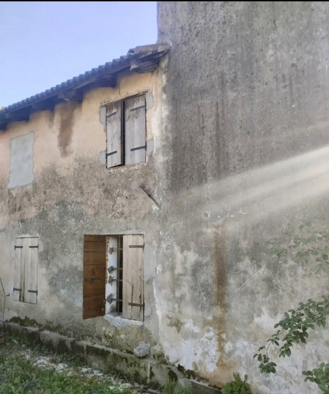 immagine annuncio 4 di 8