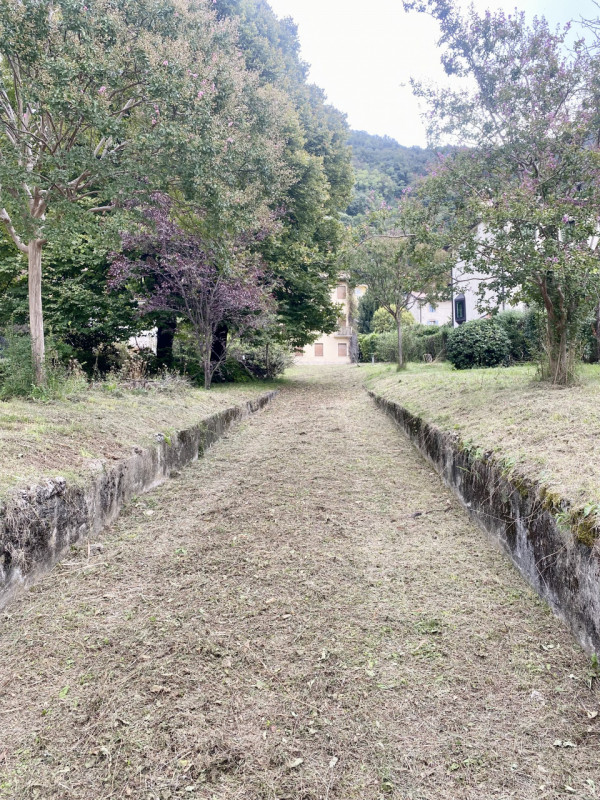 immagine annuncio 6 di 8