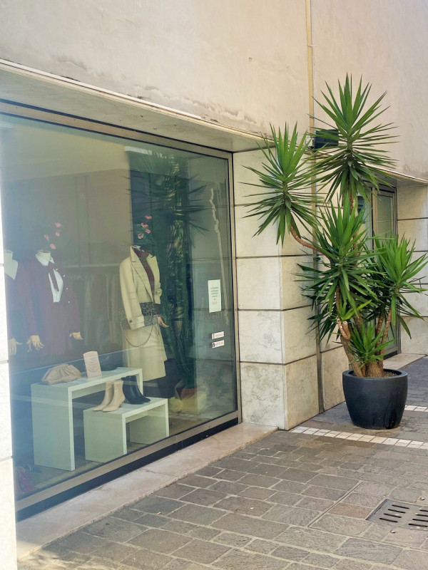 immagine annuncio 3 di 6