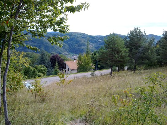 immagine annuncio 1 di 2