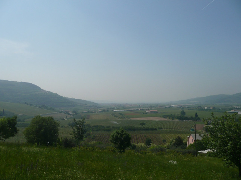 immagine annuncio 2 di 8