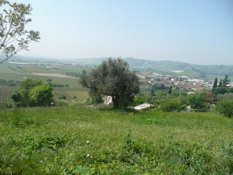 immagine annuncio 4 di 8
