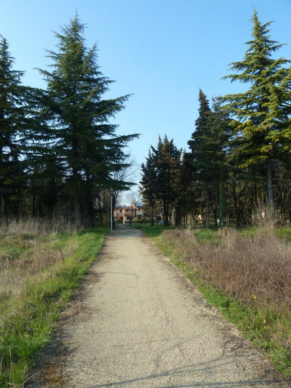 immagine annuncio 2 di 9