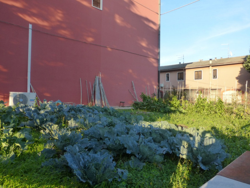 immagine annuncio 3 di 8