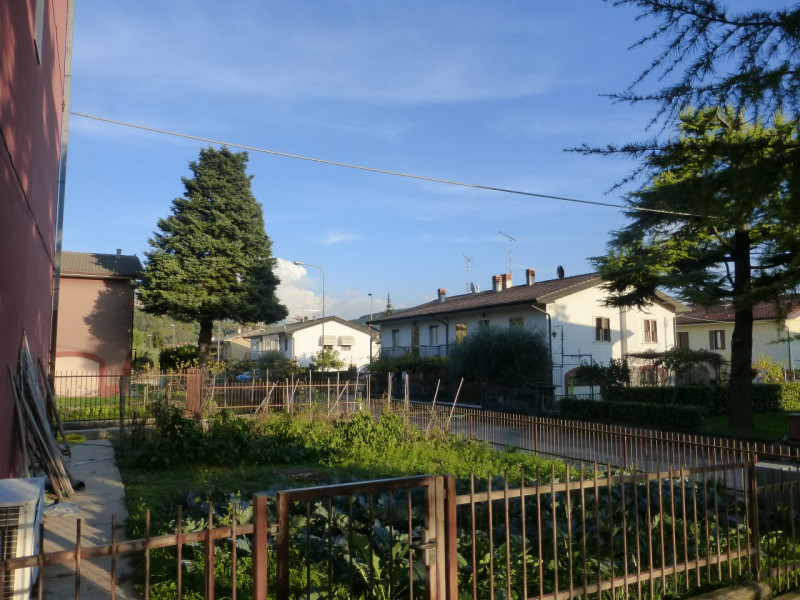 immagine annuncio 6 di 8
