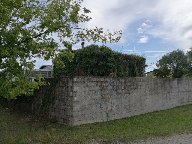 immagine annuncio 1 di 2