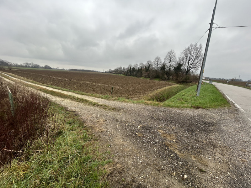 immagine annuncio 4 di 8