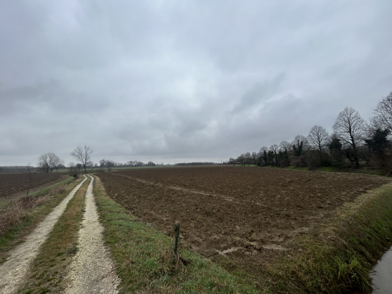 immagine annuncio 6 di 8