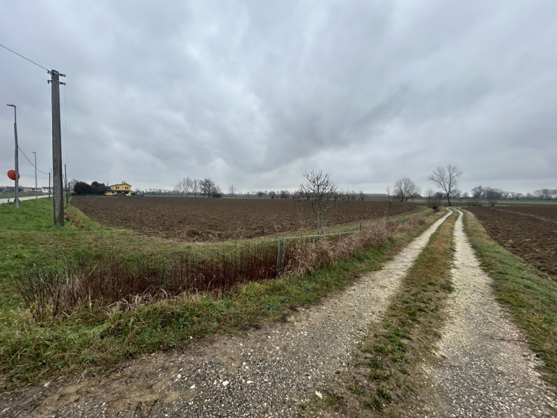 immagine annuncio 2 di 8