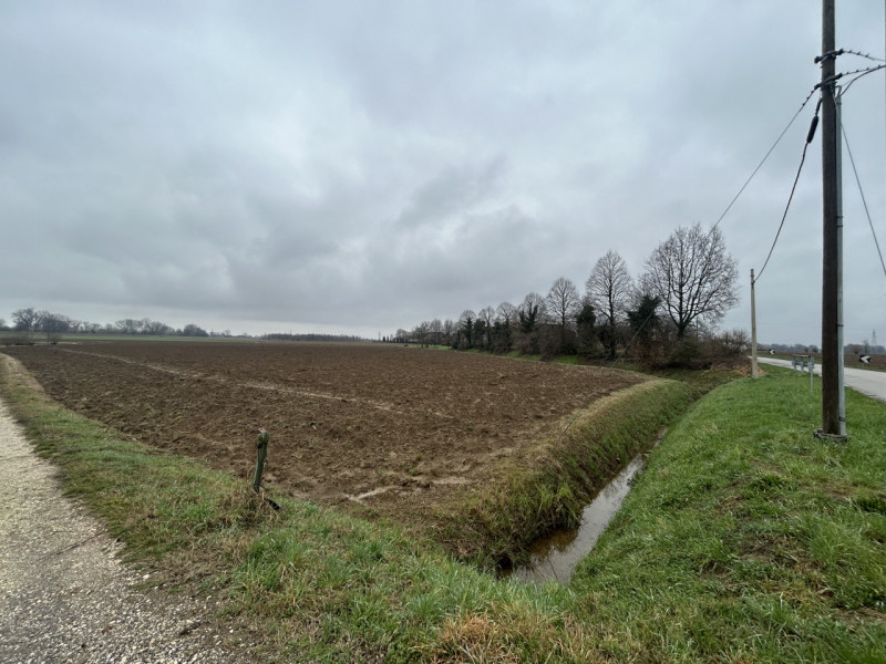 immagine annuncio 7 di 8