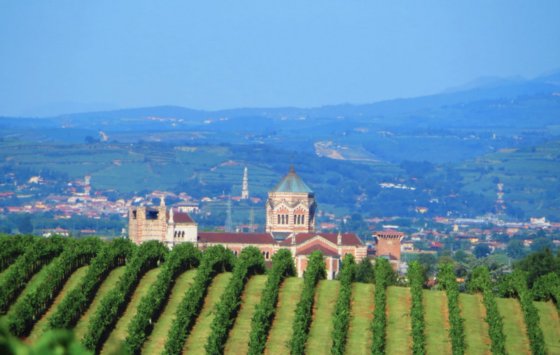 immagine annuncio 3 di 9