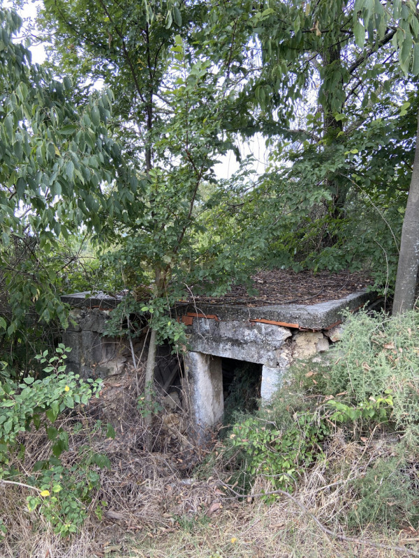 immagine annuncio 5 di 9