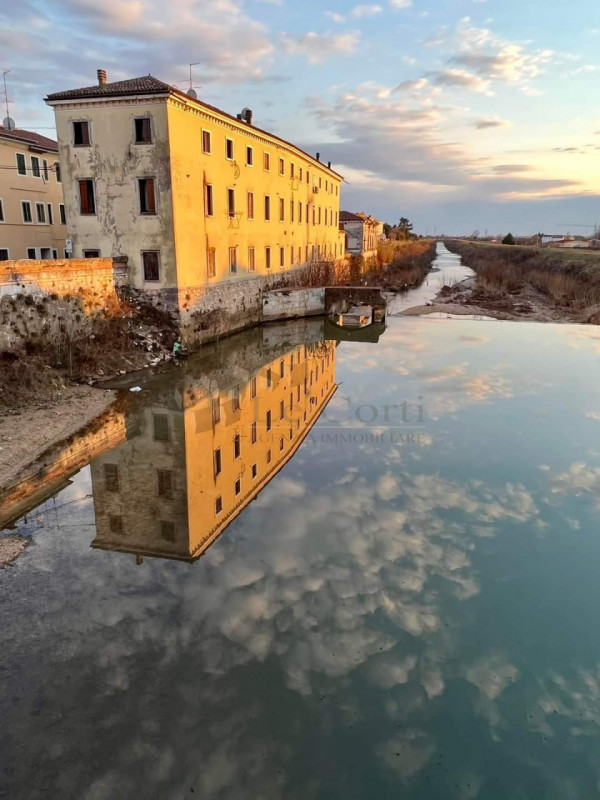 immagine annuncio 3 di 7