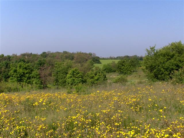 immagine annuncio 1 di 2