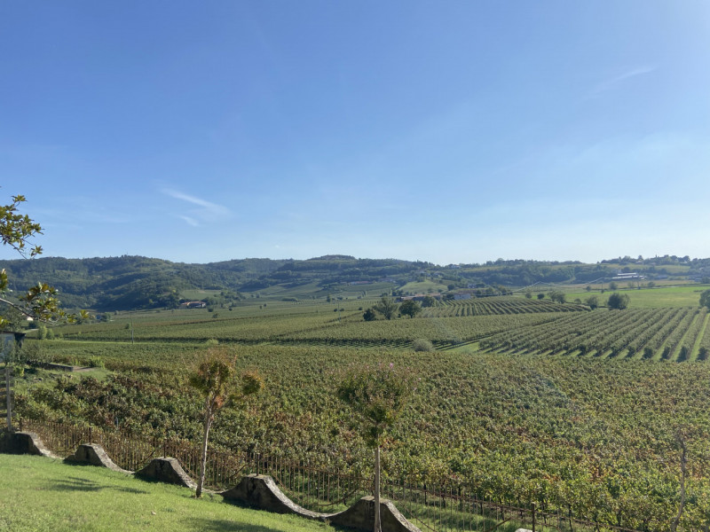 immagine annuncio 1 di 2