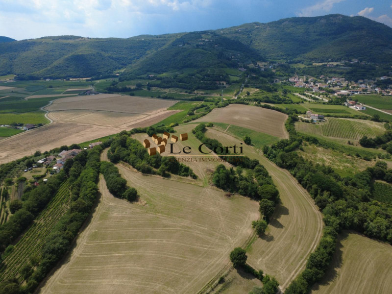immagine annuncio 3 di 7