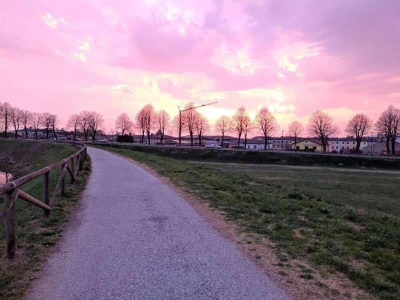 immagine annuncio 5 di 6