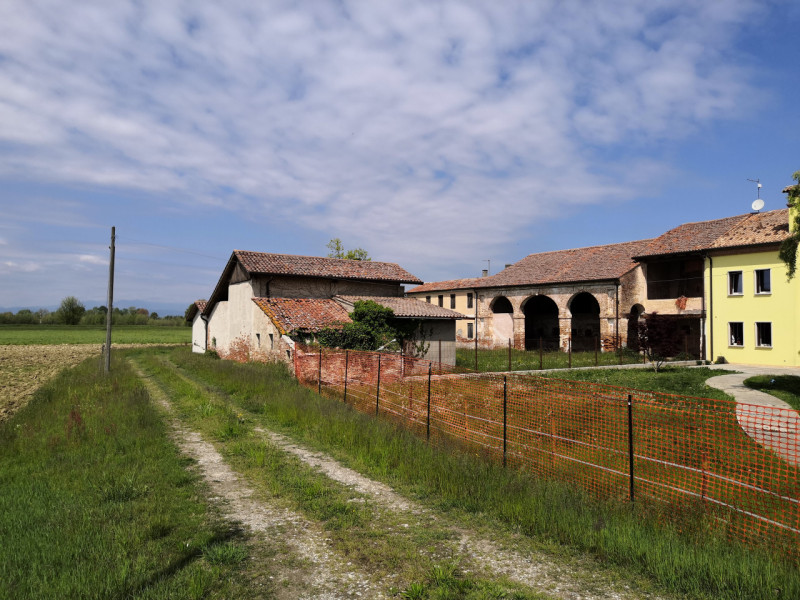 immagine annuncio 4 di 6